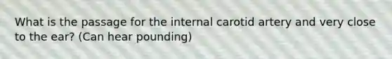 What is the passage for the internal carotid artery and very close to the ear? (Can hear pounding)