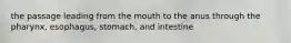 the passage leading from the mouth to the anus through the pharynx, esophagus, stomach, and intestine