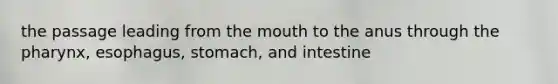 the passage leading from the mouth to the anus through the pharynx, esophagus, stomach, and intestine