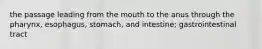 the passage leading from the mouth to the anus through the pharynx, esophagus, stomach, and intestine; gastrointestinal tract