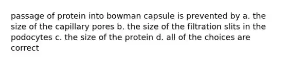 passage of protein into bowman capsule is prevented by a. the size of the capillary pores b. the size of the filtration slits in the podocytes c. the size of the protein d. all of the choices are correct