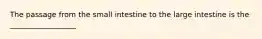 The passage from the small intestine to the large intestine is the __________________