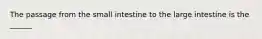 The passage from the small intestine to the large intestine is the ______