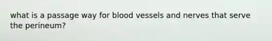 what is a passage way for blood vessels and nerves that serve the perineum?