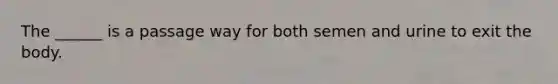 The ______ is a passage way for both semen and urine to exit the body.