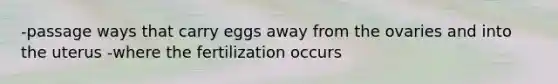 -passage ways that carry eggs away from the ovaries and into the uterus -where the fertilization occurs