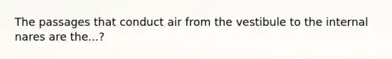 The passages that conduct air from the vestibule to the internal nares are the...?