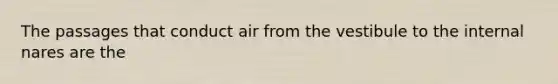 The passages that conduct air from the vestibule to the internal nares are the