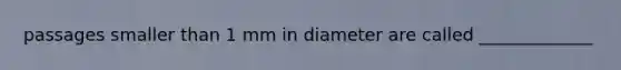 passages smaller than 1 mm in diameter are called _____________