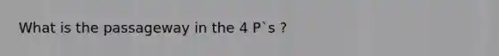 What is the passageway in the 4 P`s ?