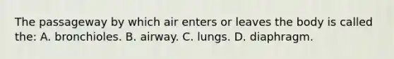 The passageway by which air enters or leaves the body is called​ the: A. bronchioles. B. airway. C. lungs. D. diaphragm.