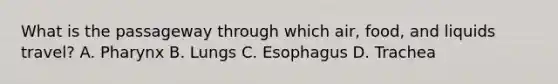 What is the passageway through which air, food, and liquids travel? A. Pharynx B. Lungs C. Esophagus D. Trachea