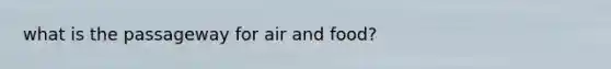 what is the passageway for air and food?