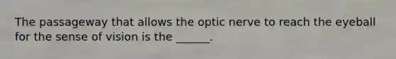 The passageway that allows the optic nerve to reach the eyeball for the sense of vision is the ______.