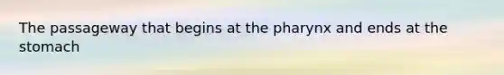The passageway that begins at the pharynx and ends at the stomach