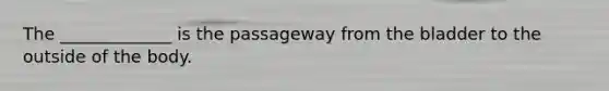 The _____________ is the passageway from the bladder to the outside of the body.