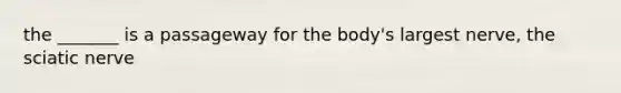 the _______ is a passageway for the body's largest nerve, the sciatic nerve