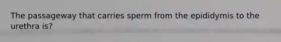 The passageway that carries sperm from the epididymis to the urethra is?