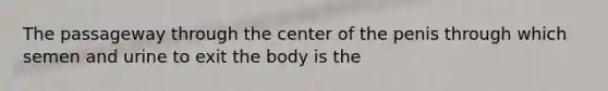 The passageway through the center of the penis through which semen and urine to exit the body is the