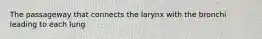 The passageway that connects the larynx with the bronchi leading to each lung
