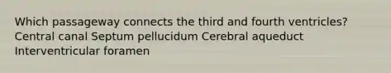 Which passageway connects the third and fourth ventricles? Central canal Septum pellucidum Cerebral aqueduct Interventricular foramen