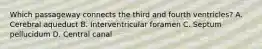 Which passageway connects the third and fourth ventricles? A. Cerebral aqueduct B. Interventricular foramen C. Septum pellucidum D. Central canal