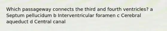 Which passageway connects the third and fourth ventricles? a Septum pellucidum b Interventricular foramen c Cerebral aqueduct d Central canal