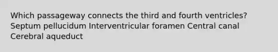 Which passageway connects the third and fourth ventricles? Septum pellucidum Interventricular foramen Central canal Cerebral aqueduct