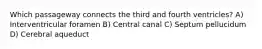 Which passageway connects the third and fourth ventricles? A) Interventricular foramen B) Central canal C) Septum pellucidum D) Cerebral aqueduct