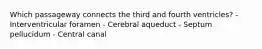 Which passageway connects the third and fourth ventricles? - Interventricular foramen - Cerebral aqueduct - Septum pellucidum - Central canal