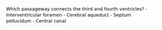 Which passageway connects the third and fourth ventricles? - Interventricular foramen - Cerebral aqueduct - Septum pellucidum - Central canal