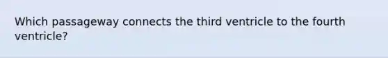 Which passageway connects the third ventricle to the fourth ventricle?