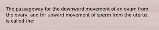 The passageway for the downward movement of an ovum from the ovary, and for upward movement of sperm from the uterus, is called the: