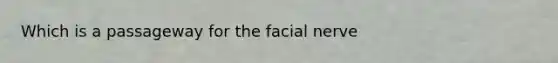 Which is a passageway for the facial nerve