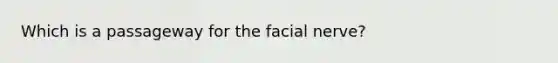 Which is a passageway for the facial nerve?