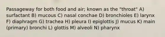 Passageway for both food and air; known as the "throat" A) surfactant B) mucous C) nasal conchae D) bronchioles E) larynx F) diaphragm G) trachea H) pleura I) epiglottis J) mucus K) main (primary) bronchi L) glottis M) alveoli N) pharynx