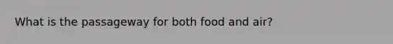 What is the passageway for both food and air?