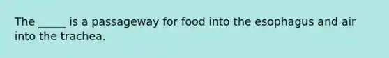 The _____ is a passageway for food into the esophagus and air into the trachea.