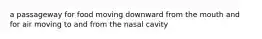 a passageway for food moving downward from the mouth and for air moving to and from the nasal cavity