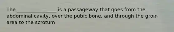 The ________________ is a passageway that goes from the abdominal cavity, over the pubic bone, and through the groin area to the scrotum