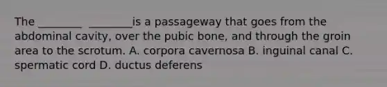 The​ ________ ​ ________is a passageway that goes from the abdominal​ cavity, over the pubic​ bone, and through the groin area to the scrotum. A. corpora cavernosa B. inguinal canal C. spermatic cord D. ductus deferens