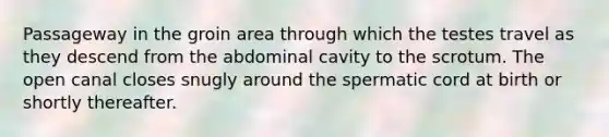 Passageway in the groin area through which the testes travel as they descend from the abdominal cavity to the scrotum. The open canal closes snugly around the spermatic cord at birth or shortly thereafter.