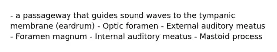 - a passageway that guides sound waves to the tympanic membrane (eardrum) - Optic foramen - External auditory meatus - Foramen magnum - Internal auditory meatus - Mastoid process