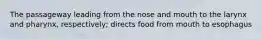 The passageway leading from the nose and mouth to the larynx and pharynx, respectively; directs food from mouth to esophagus