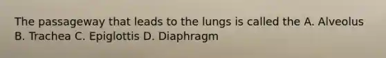 The passageway that leads to the lungs is called the A. Alveolus B. Trachea C. Epiglottis D. Diaphragm