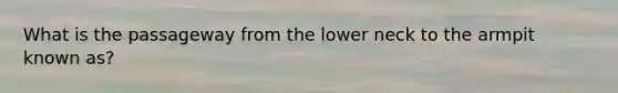 What is the passageway from the lower neck to the armpit known as?