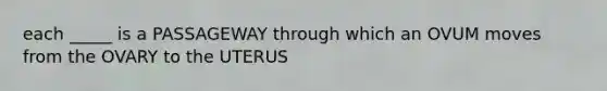 each _____ is a PASSAGEWAY through which an OVUM moves from the OVARY to the UTERUS