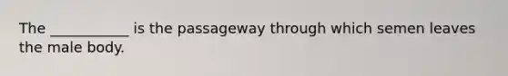 The ___________ is the passageway through which semen leaves the male body.