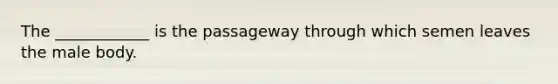 The ____________ is the passageway through which semen leaves the male body.