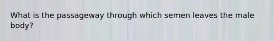 What is the passageway through which semen leaves the male body?